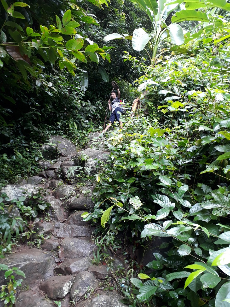 núi bà đen
