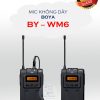 BY-WM6 gồm 2 cục thu và phát