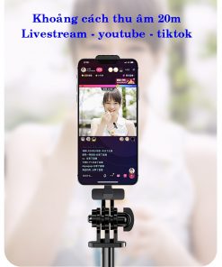 Micro không dây SMI 01