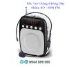 SHIDU SD-S358 FM