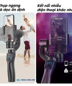 Gimbal Chống rung F8