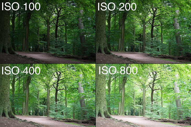 Độ nhạy ISO