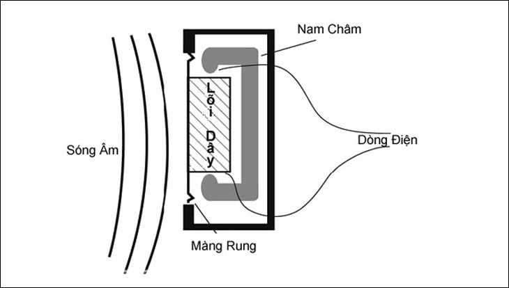 Micro Condenser và Dynamic