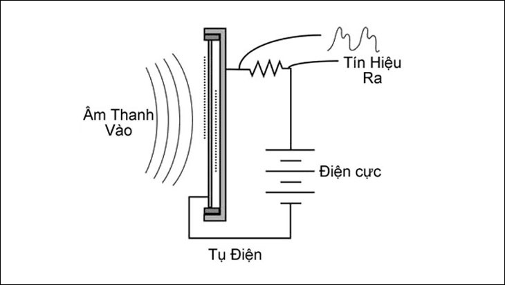 Micro Condenser và Dynamic