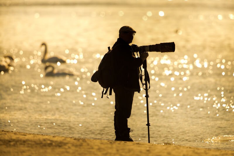 Lựa chọn tripod monopod 